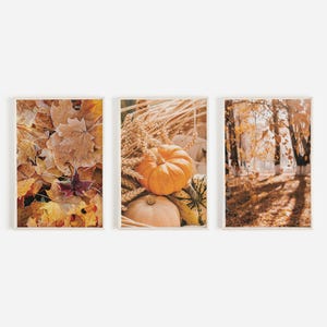 Rustikales Bauernhaus Herbst Print Set, Kürbis und Weizen, Warmer Herbst Kunst, 3er-Set Drucke, Frostbedeckte Blätter, Herbstwald Blätter Poster