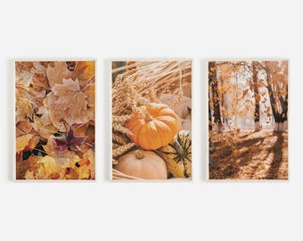 Rustic Farmhouse Fall Print Set, Pumpkin And Wheat, Warm Autumn Art, Set of 3 Prints, Frost Covered Leaves, Fall Forest Leaves Poster