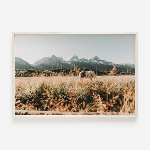 Überwuchertes Feld und Pferde, Westernpferd Dekor, Paint Horse Wandkunst, Wyoming Pferdelandschaft, Pferde im Feld unter Tetons, rustikales Foto