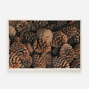 Pine Cone Printable, Rustic Home Decor, Christmas Wall Art, Pine Cone Photography, Modern Rustic Print, Nature Printable, Woodland Pinecones