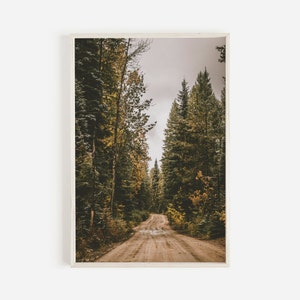 Dirt Road Through The Trees, Western Dirt Road Scenery, Rustic Landscape, Montana Poster, Dirt Road Wall Art, Tree Lined Path, Rustic Decor