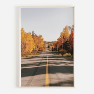 New England Autumn Road Print, Vermont Backroad, Farmhouse Style Art, Vermont Fall Photography, Nature Wall Art, Rustic Vermont Fall Poster