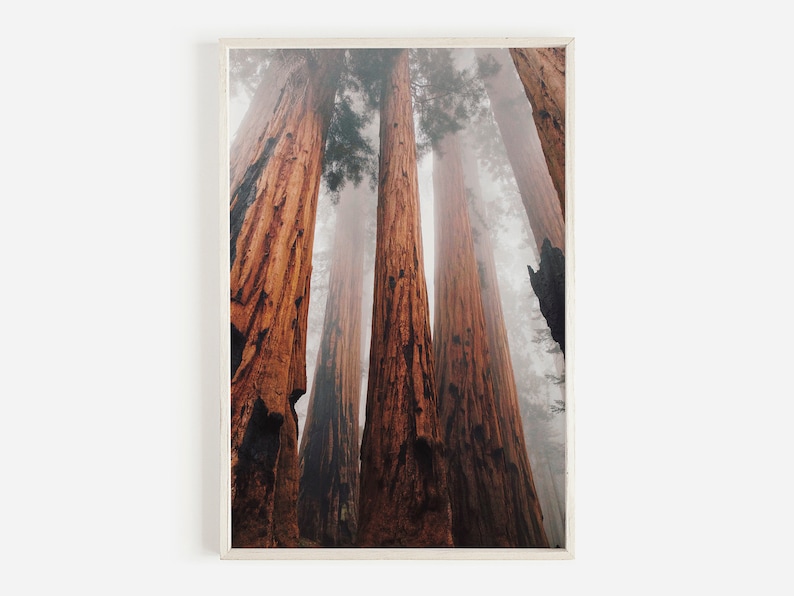 West Coast Print Set Big Sur Wall Art Golden Gate Bridge Etsy