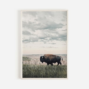 Bison in the Badlands, National Park Wildlife, South Dakota Landscape, Bison Photography, Wild Bison Printable, Western Home Decor