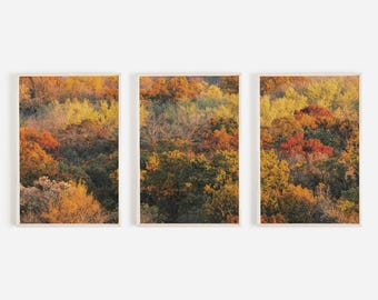 Colorful Autumn Foliage Print Set, Triptych Fall Photography, Bright Tree Tops Poster, Set of 3 Prints, Rustic Home Decor, Fall Aesthetic