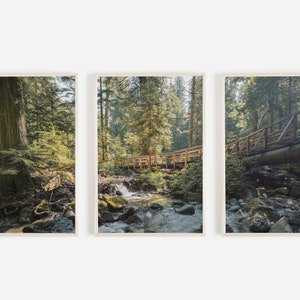 Brücke durch Wald, 3 Stück Druck Set, PNW Wald Kunst, Natur druckbar, rustikale Landschaft, Oregon Home Decor, Holzbrücke Triptychon Set