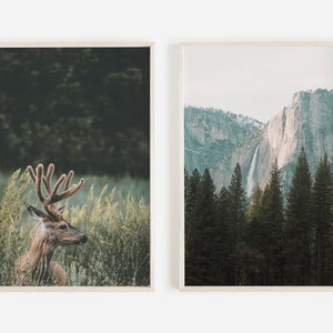 Deer Print Set, Woodland Photography, Rustic Decor, California Landscape, Yosemite National Park Photo, Set of 2 Prints, 2 Piece Print Set