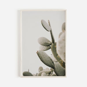 Wüstenkaktus Wandkunst, Arizona Kaktus Poster, spitzer Kaktus druckbar, Südwesten Wohnkultur, einheimische Pflanzenwelt, neutraler Kaktus Dekor