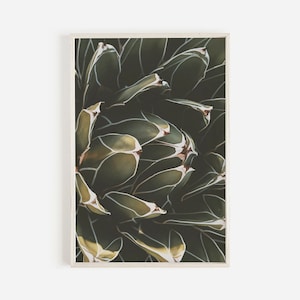 Dark Agave Cactus Print, Desert Agave Wandkunst, Kaktus Makrofotografie, Arizona Home Decor, Moody Cactus Poster, Desert Cactus printable