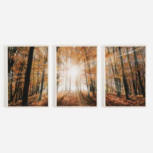Heller Sonnenaufgang im Herbstwald-Druckset, 3-er Set Drucke, Triptychon Herbstkunst, rustikales Wohndekor, Naturplakat, Hüttenstil Kunstwerk
