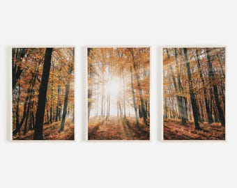Bright Sunrise In Fall Forest Print Set, Set of 3 Prints, Triptych Autumn Art, Rustic Home Decor, Nature Poster, Lodge Style Artwork