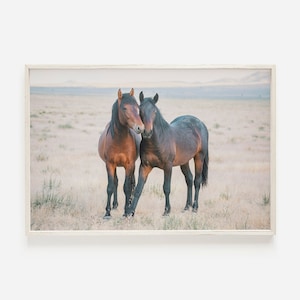 Two Wild Horses, Wild Horse Wall Art, Utah Home Decor, Horses In The Desert, Bay Horse Wall Art, Utah Wild Horses, Nature Wall Art