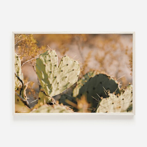 Herzfrmiger Kaktus, Warme Wstenlandschaft, Arizona Kaktus Liebe, Grner  Kaktus Foto, Warme Wstenlandschaft, Herzfrmiger Kaktus, Kaktus Foto -  Etsy.de