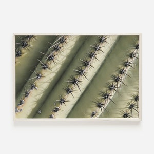 Saguaro Kaktus Spikes, grüner Kaktus Poster, Wüste Natur Dekor, Kaktus druckbare, Saguaro Wüste Kaktus, Arizona Kaktus Foto, Nahaufnahme Kunst