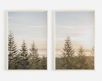 May include: Two framed prints of a misty forest scene with tall evergreen trees silhouetted against a pale blue sky. The sky is a soft gradient of light blue, white, and pale yellow.