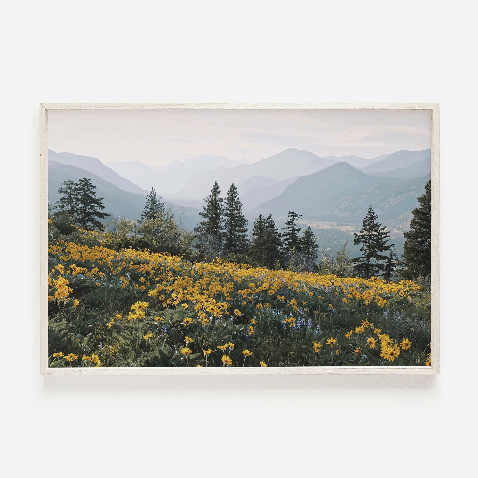 Mountain Flower Print, Wildflower Wall Art, Washington Mountain Range, PNW  Scenery, Valley Views, Nature Printable, PNW Wilderness Poster - Etsy Israel, image size:2000x2000