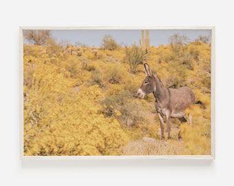 Desert Burro In Spring Blooms, Donkey In Arizona, Burro Photography, Southwest Wildlife Print, Yellow Flower Desert, Arizona Landscape Print