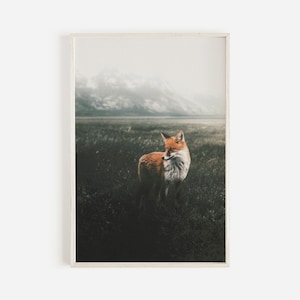 Fuchs im Waldfeld, Rotfuchs Fotografie, rustikaler Fuchsdruck, Naturwandkunst, Fuchs-Wildtier-Landschaft, Oregon-Landschaft, Fuchs in der Wildnis