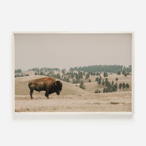 Western Bison Wall Art, Bison in Montana, Forest Landscape, Rustic Home Decor, Bison Printable, American Buffalo Poster, Bison Scenery Print