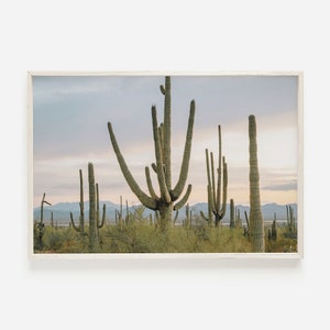 Arizona Wüste Poster, Saguaro Kaktus druckbar, Wüstenblick, Arizona Landschaft, großes Kaktus Poster, Saguaro Wüstenhimmel, bewölkter Himmel Kunst