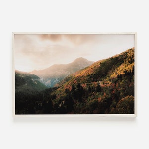 Colorado Mountain Scenery Wall Art, Colorful Autumn Decor, Woodland Mountain Poster, Colorado Photography, High Altitude Printable Art