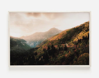 Autumn Prints