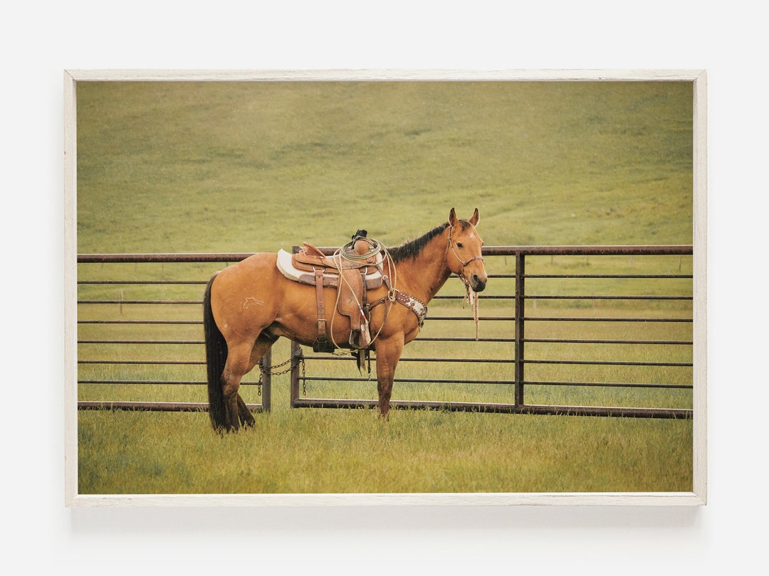 Western Horse Wall Art Saddled up Horse Read to Ride Etsy