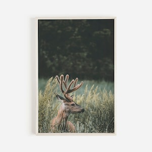 Hirsch Wandkunst, Waldtierdruck, Hirsch Wandkunst, Hirsch Poster, Waldtier, Tierfotografie, Hirsch druckbares Dekor, Natur Wandkunst