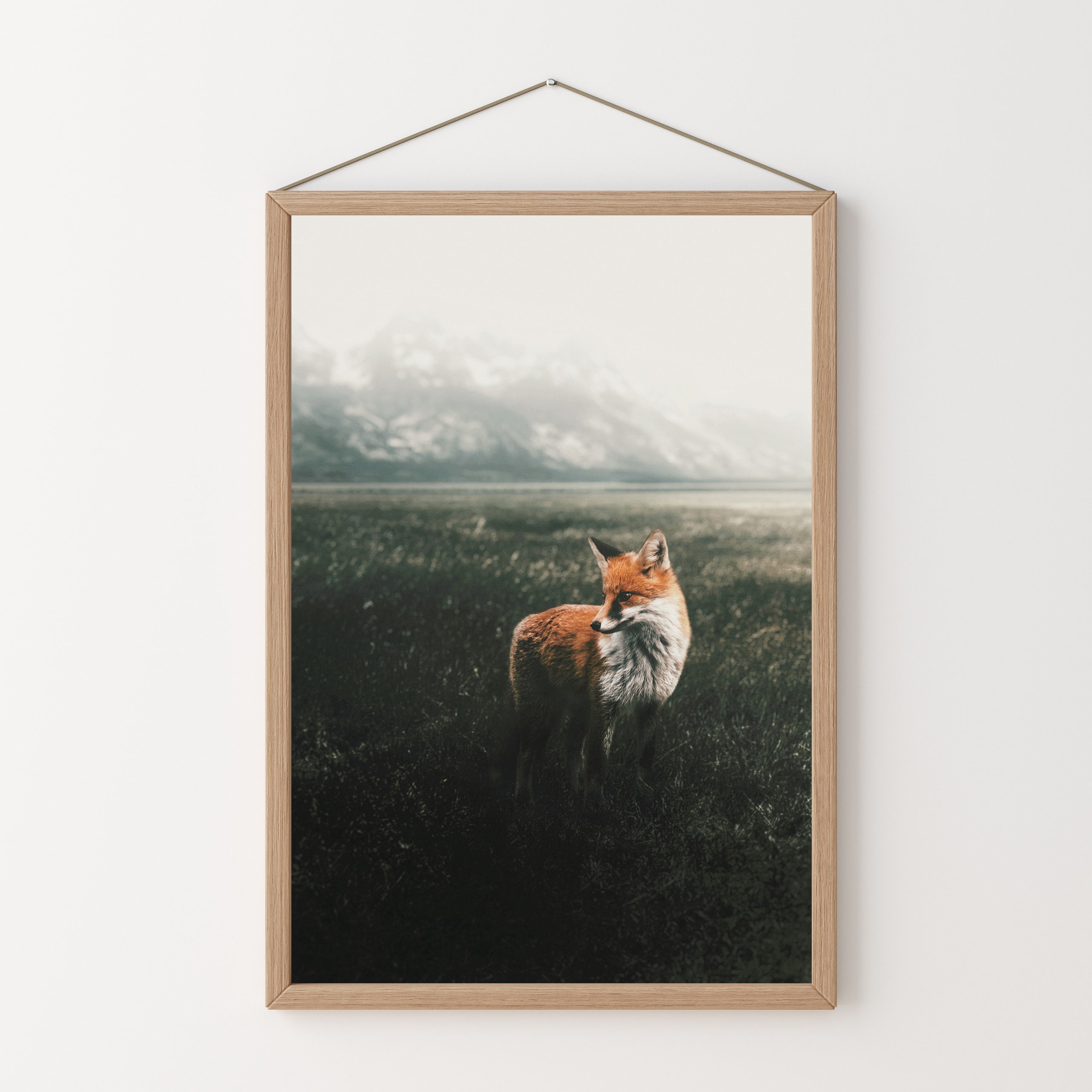 Fox in Forest Field Red Fox Photography Rustic Fox Print - Etsy