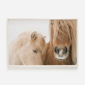 Chevaux beiges en Islande, impression de ferme rustique, photo neutre de cheval, tons marron et beige, décoration cheval, cheval de ferme imprimable