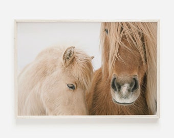 Beige Horses in Iceland, Rustic Farmhouse Print, Neutral Horse Photo, Brown and Beige Tones, Horse Decor, Farmhouse Horse Printable