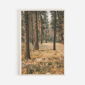 Spaziergang im Wald, rustikales Kiefernbaum Poster, neutrale Töne, Wald Digitaldruck, Kiefernwald druckbar, rustikale Landschaftsdekoration