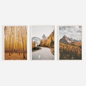 Könnte beinhalten: Drei gerahmte Landschaftsfotos von Herbstimpressionen. Das erste Bild zeigt einen Wald mit gelben Bäumen. Das zweite Bild zeigt eine kurvenreiche Straße durch einen Wald mit gelben Bäumen. Das dritte Bild zeigt eine Bergkette mit einem Wald mit gelben Bäumen im Vordergrund.