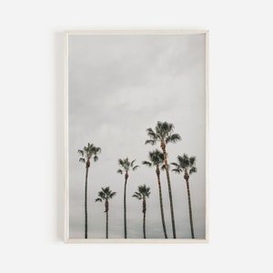 Moody Palm Trees Print, Coastal Wall Art, Modern Ocean Decor, Moody Beach Photo, Tall Palm Trees Poster, Stormy Sky Wall Art, Modern Decor