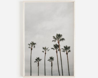 Impresión de palmeras cambiantes, arte de la pared costera, decoración moderna del océano, foto de la playa cambiante, cartel de palmeras altas, arte de la pared del cielo tormentoso, decoración moderna