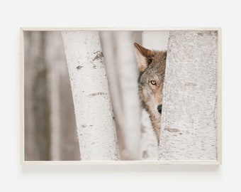 Wolf in the Woods, Winter Nature Print, Wolf Wall Art, Wilderness Photo, Forest Wolf Printable, Wildlife Photography, Wolf Poster Print