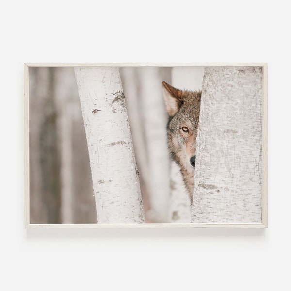 Wolf in the Woods, Winter Nature Print, Wolf Wall Art, Wilderness Photo, Forest Wolf Printable, Wildlife Photography, Wolf Poster Print
