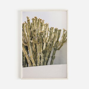 Warmer Kaktus Wandkunst, Boho Kaktus Dekor, Neutraler Kaktus druckbar, Wüstenfotografie, grüner Kaktus Poster, gelber Kaktus Frucht, Boho Wüste