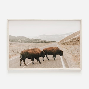 Twee bizons in Yellowstone, neutraal afdrukbaar, rustiek bizon decor, westelijke muurkunst, twee bizons afdrukbaar, Buffalo digitale kunst rustieke Lodge kunst