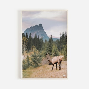 Mountain Elk Wall Art, Foggy Forest Landscape, Elk Printable, Montana Elk Photo, Mountain Deer Digital Art, Rustic Home Decor, Elk Poster