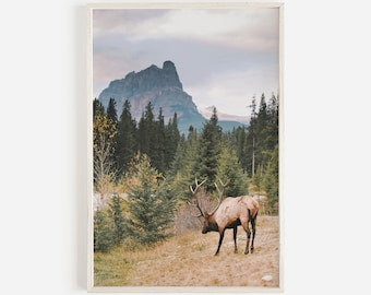 Mountain Elk Wall Art, Foggy Forest Landscape, Elk Printable, Montana Elk Photo, Mountain Deer Digital Art, Rustic Home Decor, Elk Poster