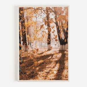 Impresión de bosque con hojas secas de otoño, decoración estilo cabaña, póster de otoño cálido, fotografía rústica, otoño en un bosque salvaje, impresión de follaje de árboles