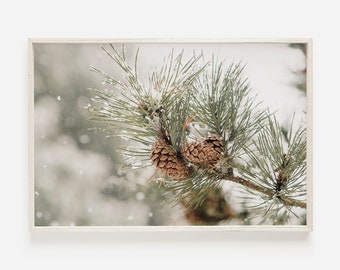 May include: A framed print featuring a close-up of a pine branch with two brown pine cones. The green needles are dusted with snow, set against a soft, blurred, snowy background. The frame is a light, neutral color.