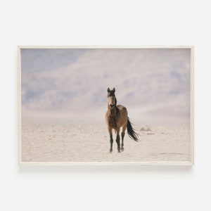 Single Horse In The Desert, Barren Desert Scenery, Nevada Wild Horses, Pastel Horse Decor, Nevada Wildlife Print, Dry Desert Printable