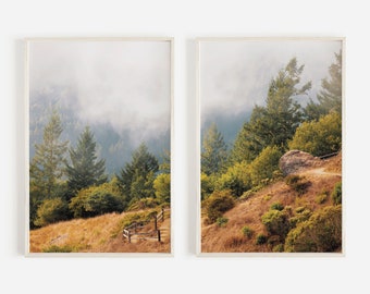 May include: A split-panel print of a foggy forest scene. The left panel shows a path leading through a lush green forest with a wooden fence. The right panel shows a rocky hillside with a path leading up to a clearing in the forest.
