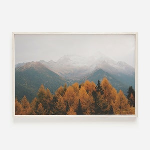 Rustic Autumn Forest Print, Colorado Mountain Scenery, Lodge Style Decor, Colorado Home Decor, Autumn Pine Forest, Nature Photography