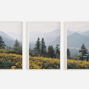 Mountain Flower Print Set of 3, Washington Valley Views, Nature Scenery, Wildflower Printable, 3 Piece Print Set, PNW Wilderness Photos