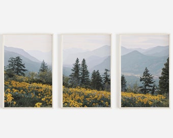 Mountain Flower Print Set of 3, Washington Valley Views, Nature Scenery, Wildflower Printable, 3 Piece Print Set, PNW Wilderness Photos