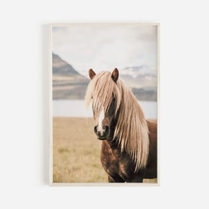 May include: A framed print featuring a brown horse with a long, flowing, light-colored mane. The horse stands in a field with a mountain and lake in the background. The image has a soft, natural color palette.