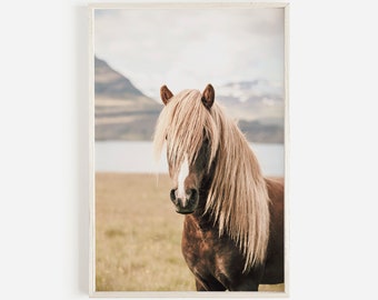 Icelandic Pony Wall Art, Large Horse Poster, Horse Wall Art Print, Iceland Wall Art, Modern Wall Art, Icelandic Horse Printable Art